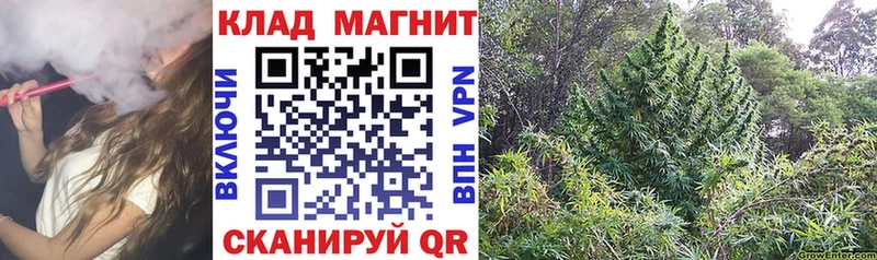 Названия наркотиков Ветлуга Гашиш  Галлюциногенные грибы  МЕФ  Конопля  Cocaine 