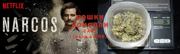 стаф Аркадак