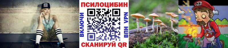 Псилоцибиновые грибы Psilocybine cubensis  Ветлуга 